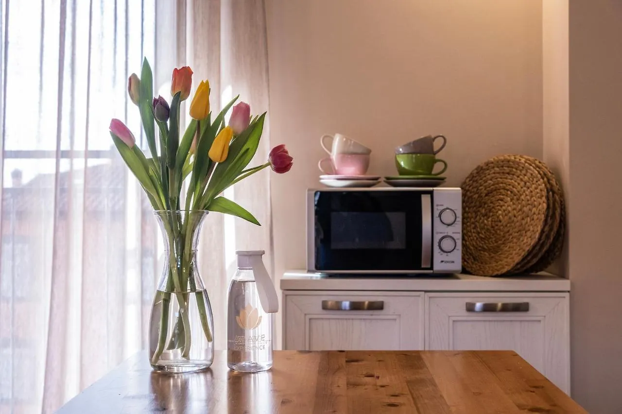Hotel Agave In Citta Livorno