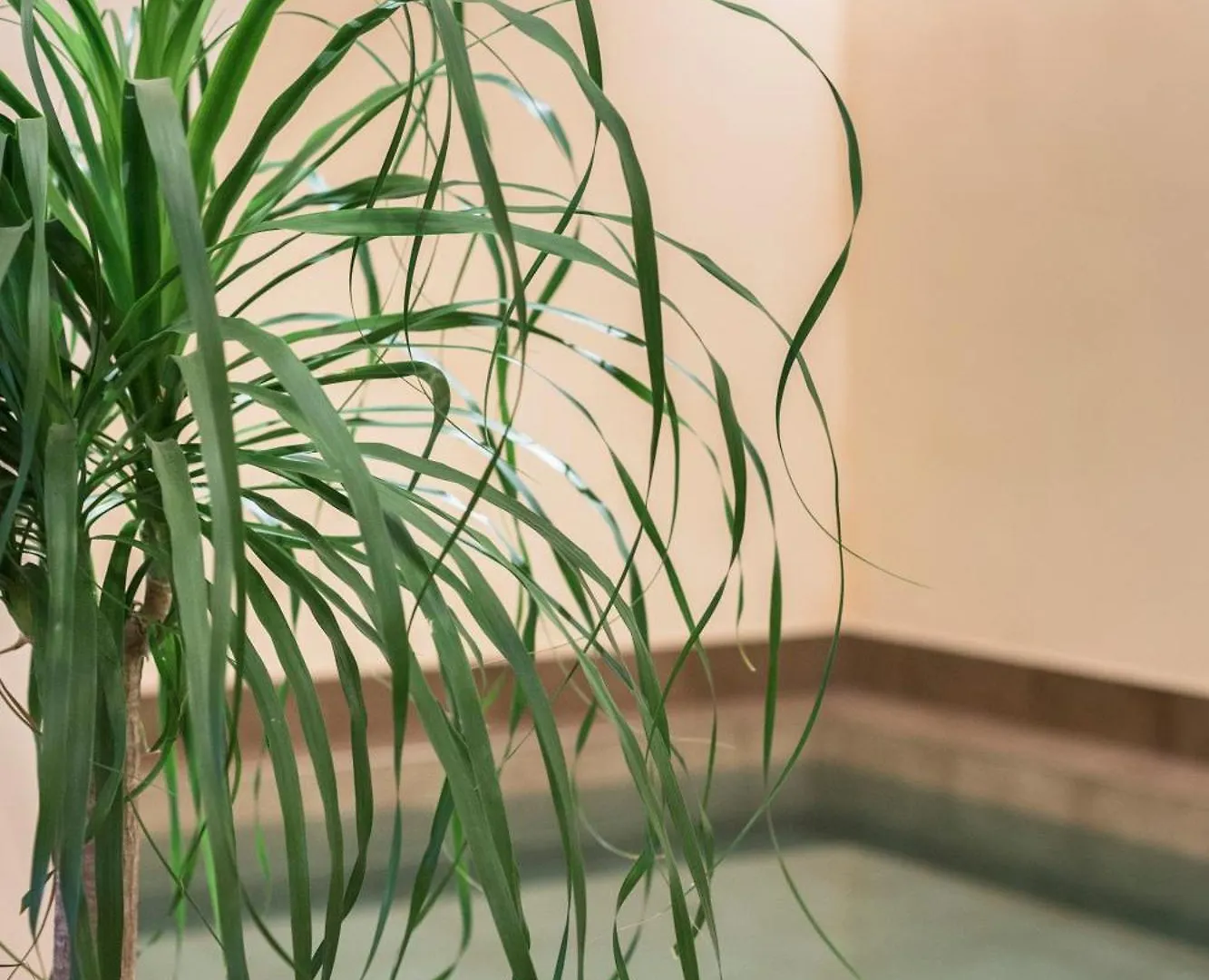 فندق Agave In Citta ليفورنو