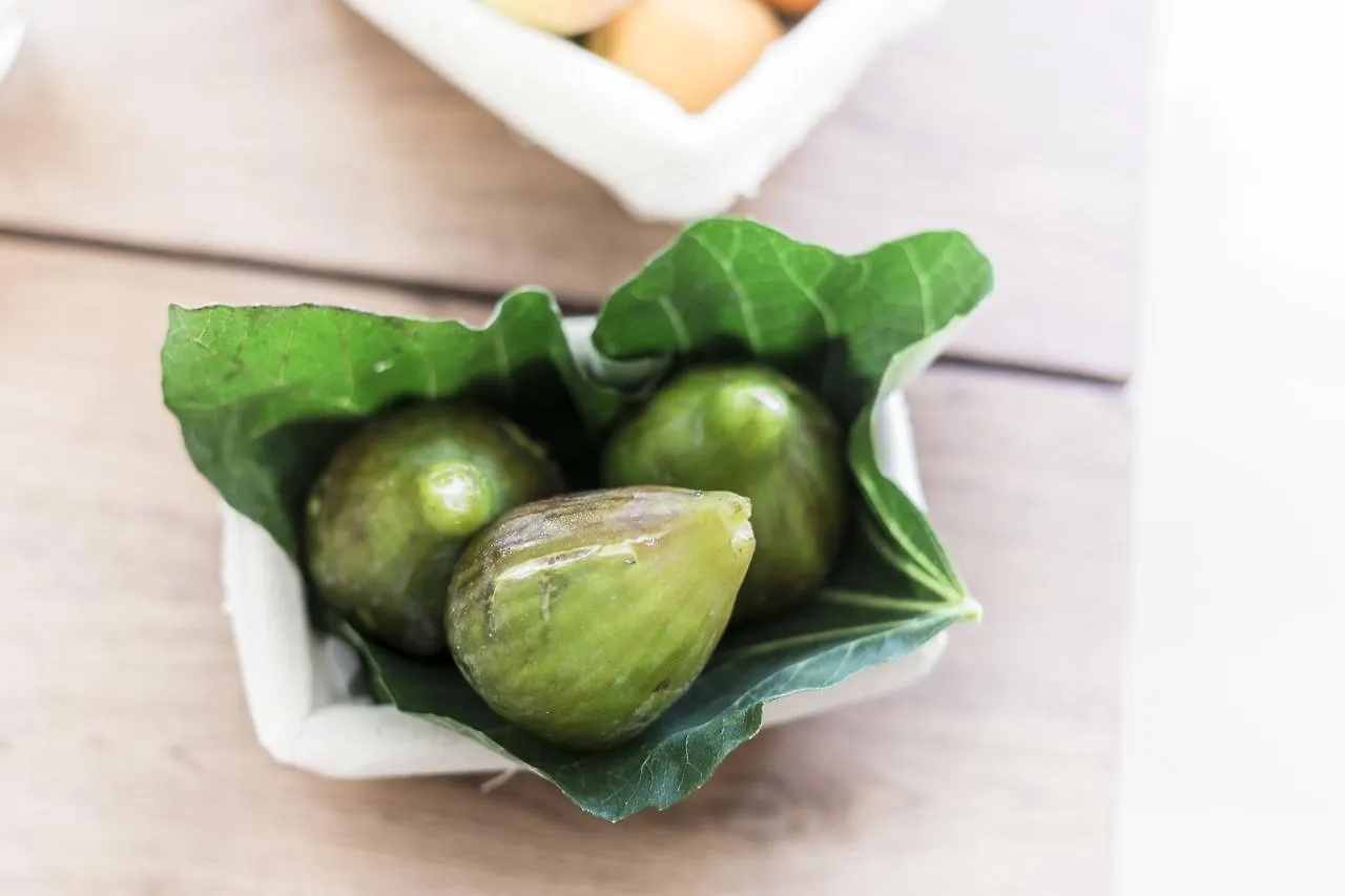 فندق Agave In Citta ليفورنو
