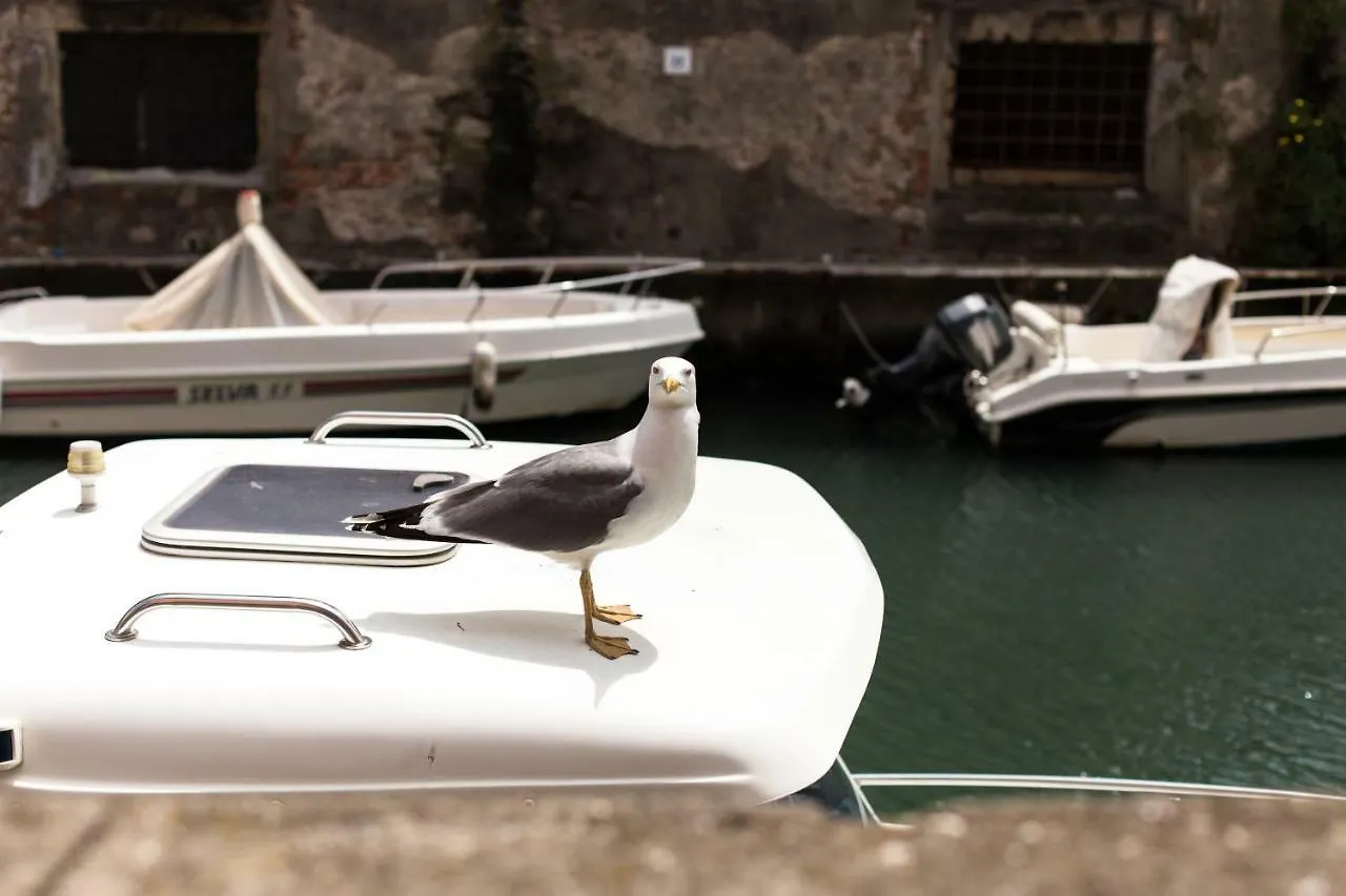 Hotel Agave in Città Livorno